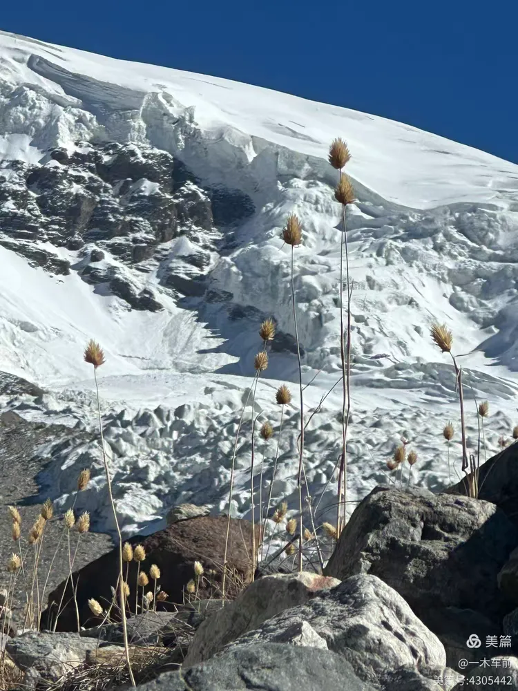 帕米尔高原风光篇:白沙湖,塔合曼湿地,盘龙古道,瓦罕走廊,慕士塔格